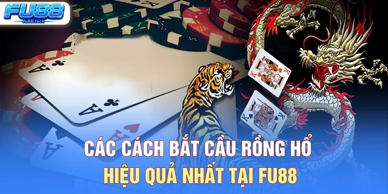 Các Cách Bắt Cầu Rồng Hổ Hiệu Quả Nhất Tại FU88