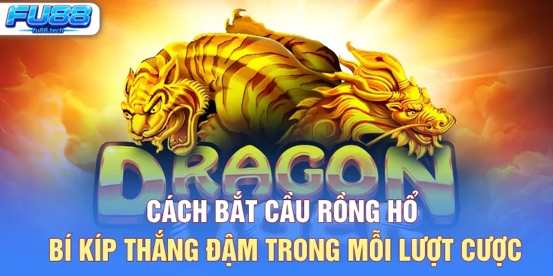 Cách Bắt Cầu Rồng Hổ – Bí Kíp Thắng Đậm Trong Mỗi Lượt Cược