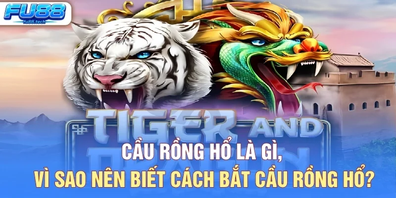 Cầu Rồng Hổ Là Gì, Vì Sao Nên Biết Cách Bắt Cầu Rồng Hổ?