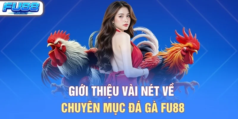 Giới thiệu vài nét về chuyên mục đá gà FU88
