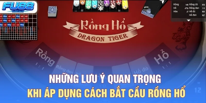 Những Lưu Ý Quan Trọng Khi Áp Dụng Cách Bắt Cầu Rồng Hổ