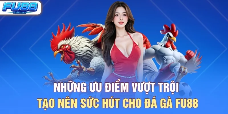 Những ưu điểm vượt trội tạo nên sức hút cho đá gà FU88